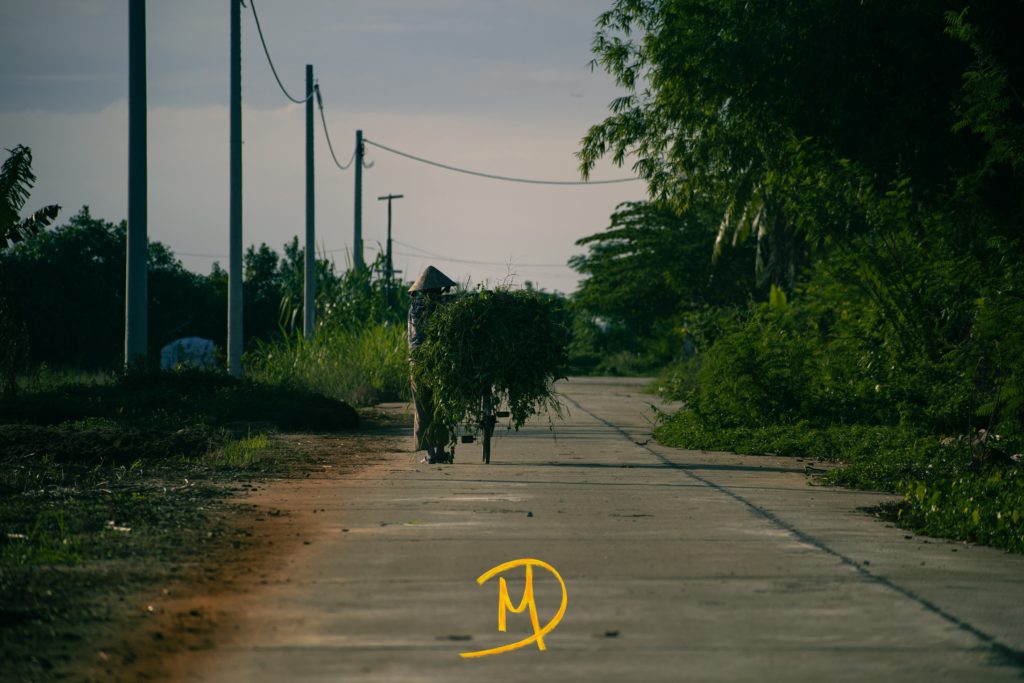 Photographies Vietnam - Manudit